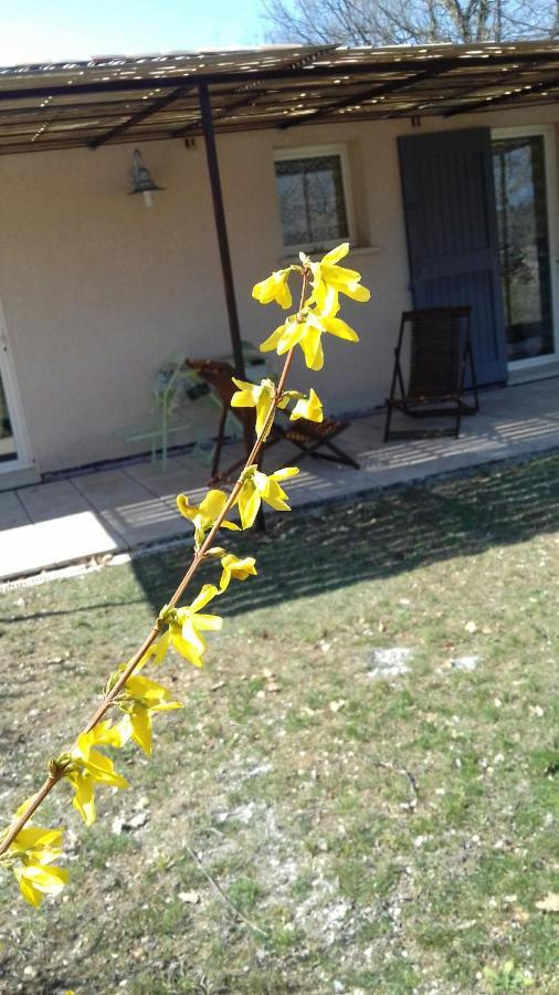 Apartament Le Marronnier Niozelles Zewnętrze zdjęcie